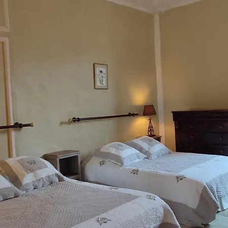 Cornemuse Maison Entiere De 100 M2 Avec Cuisine, Sejour Et Jardin Au Centre D'issigeac * Issigeac